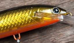 воблер серии поинтера